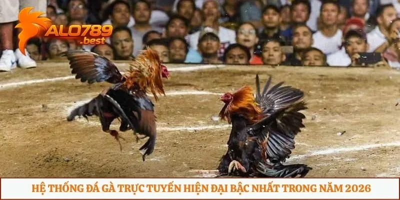 Hệ thống đá gà trực tuyến hiện đại bậc nhất trong năm 2026